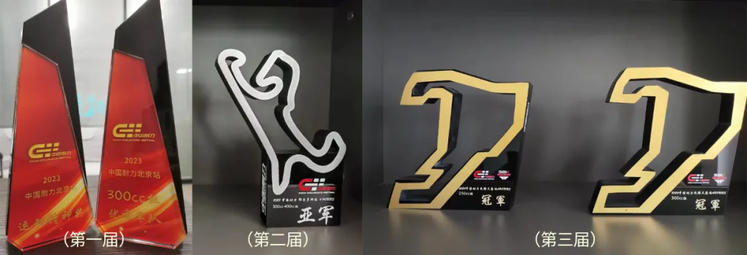 1744176195225866.jpg 9.jpg